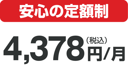 安心の定額制 4,378円（税込）/月